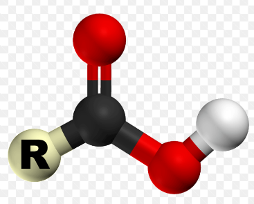 Carboxylic Acid and Acid Derivatives